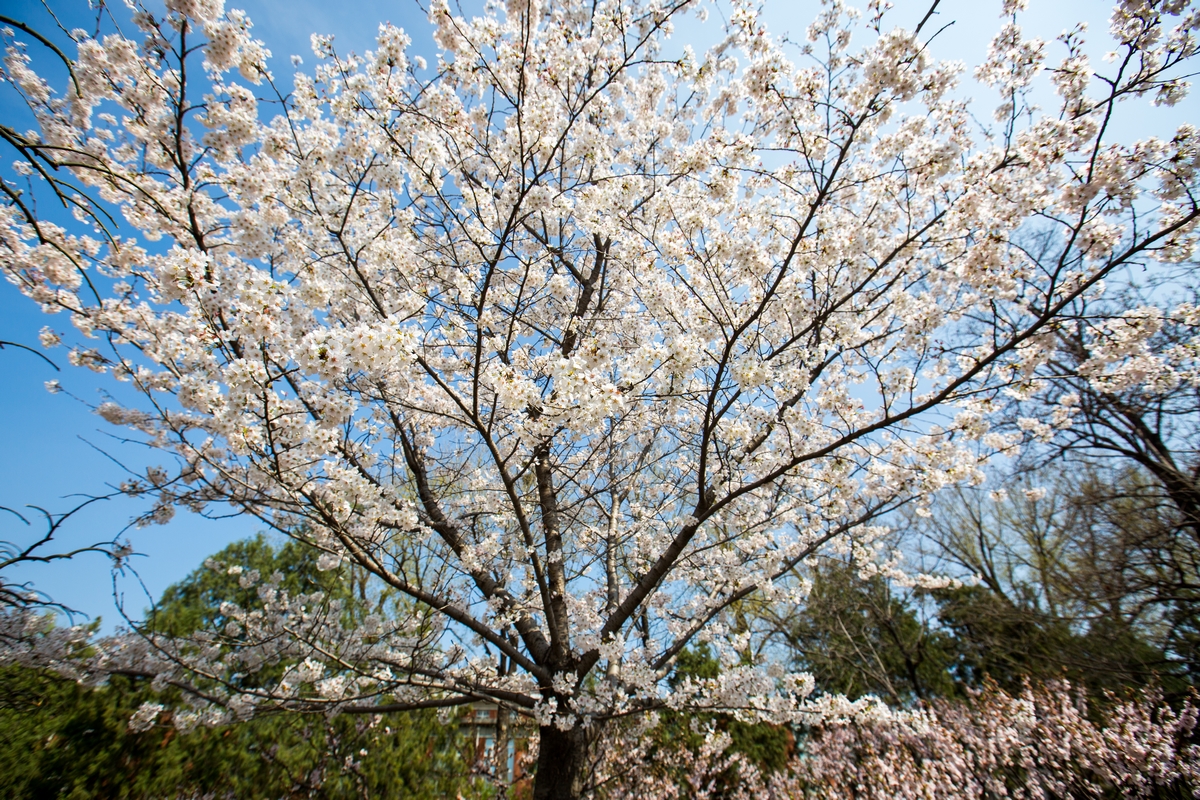 4118云顶集团·(中国)股份有限公司