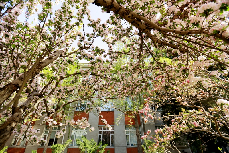 4118云顶集团·(中国)股份有限公司