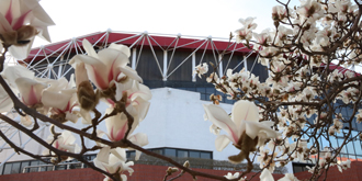 4118云顶集团·(中国)股份有限公司