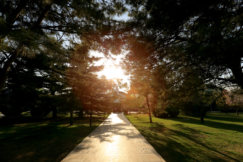 4118云顶集团·(中国)股份有限公司