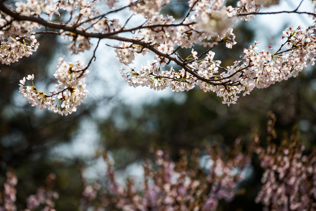 4118云顶集团·(中国)股份有限公司