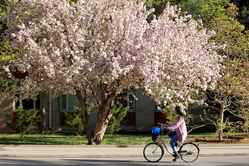 4118云顶集团·(中国)股份有限公司