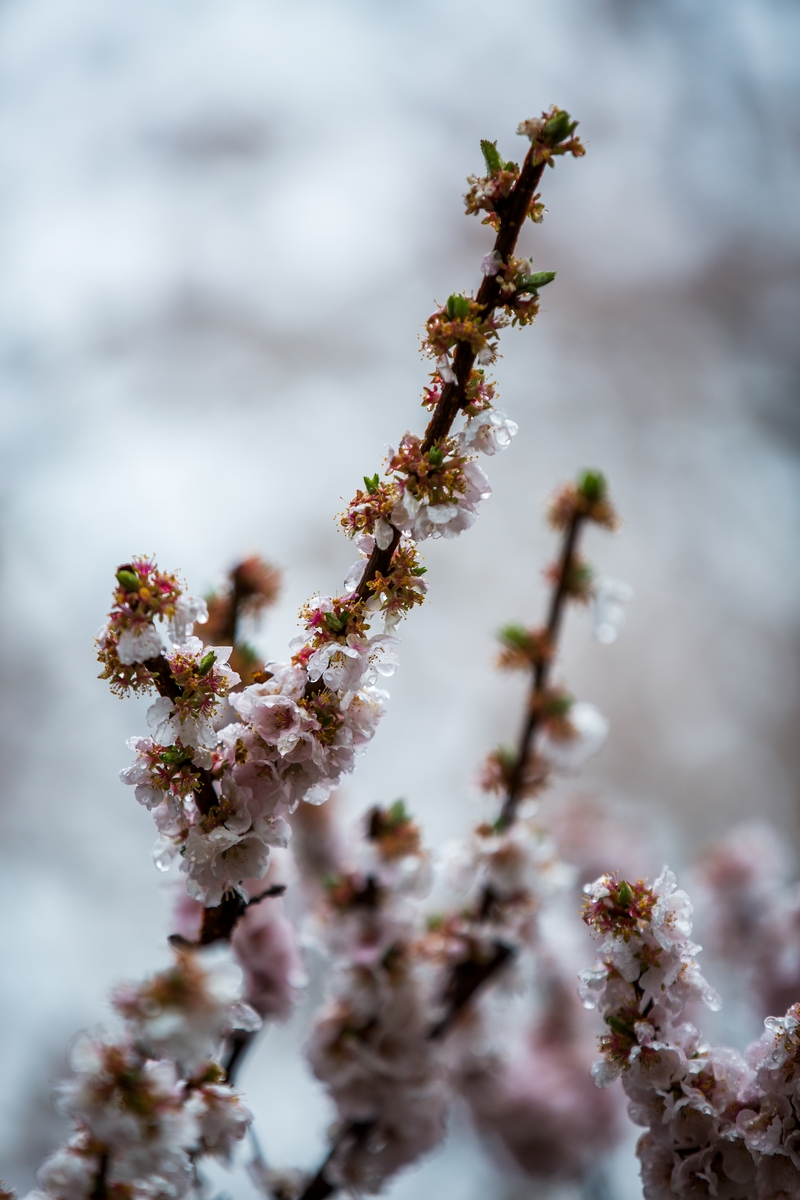 4118云顶集团·(中国)股份有限公司