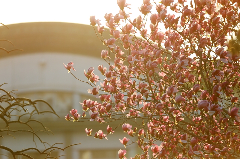 4118云顶集团·(中国)股份有限公司