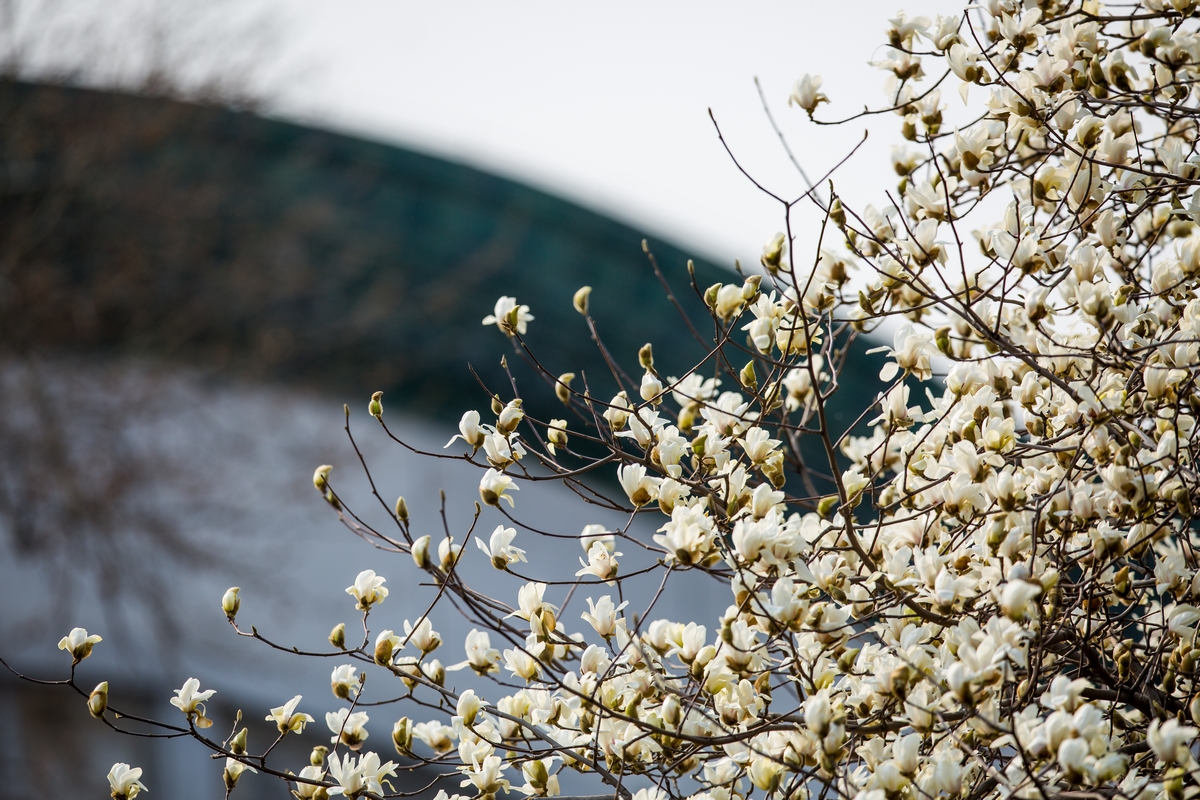 4118云顶集团·(中国)股份有限公司