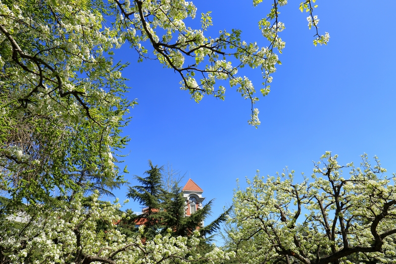 4118云顶集团·(中国)股份有限公司