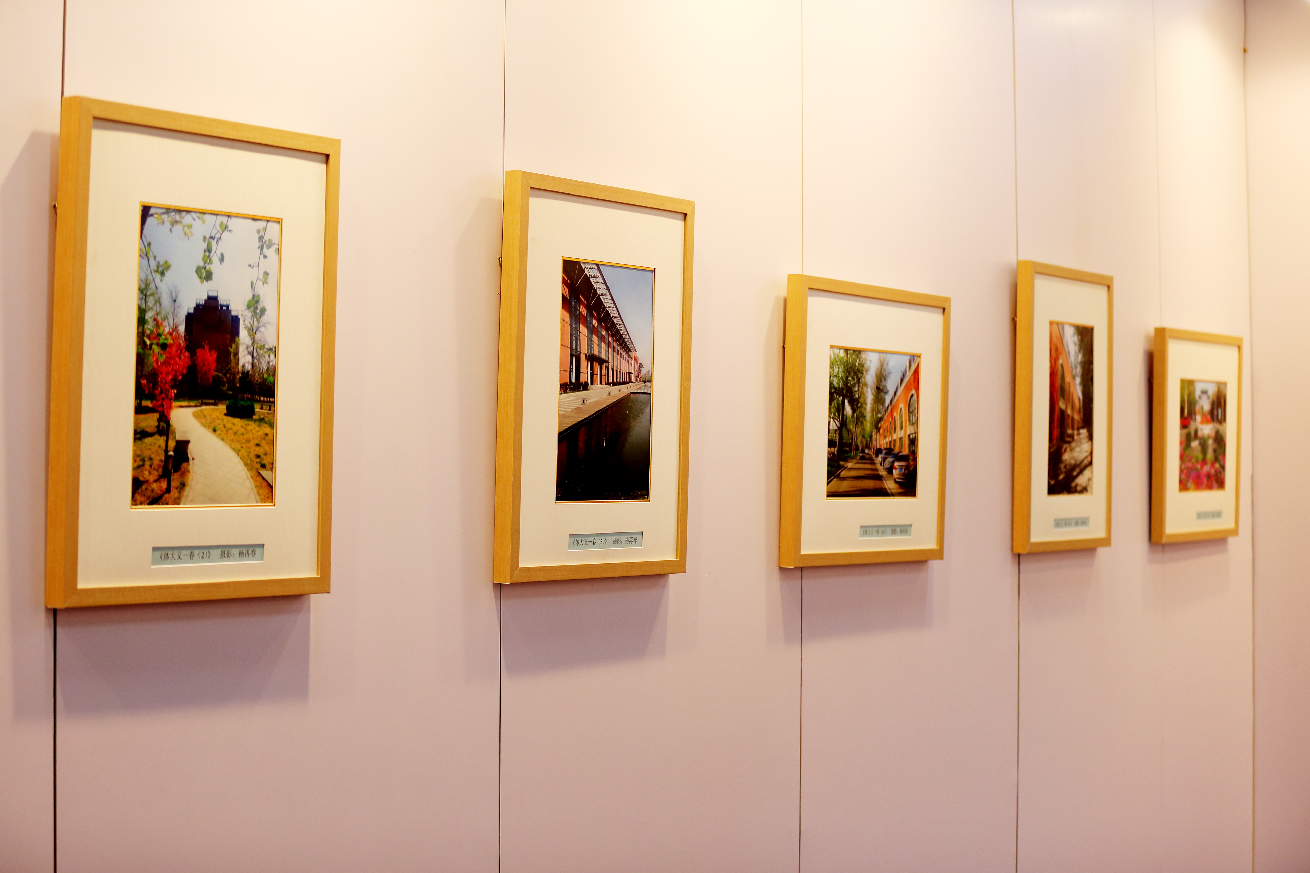 4118云顶集团·(中国)股份有限公司