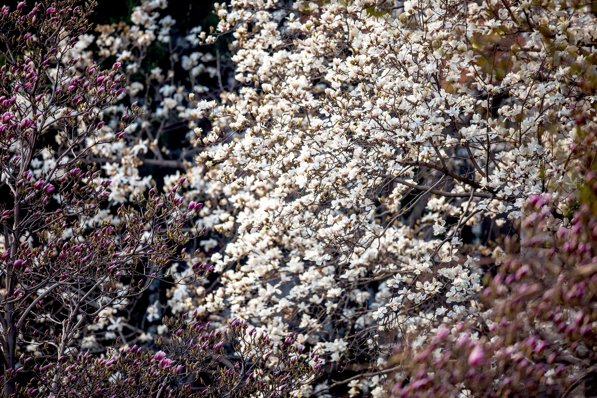 4118云顶集团·(中国)股份有限公司