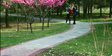 4118云顶集团·(中国)股份有限公司