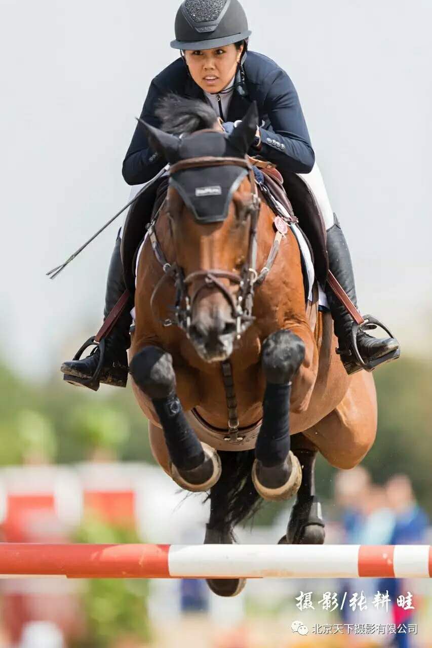 4118云顶集团·(中国)股份有限公司