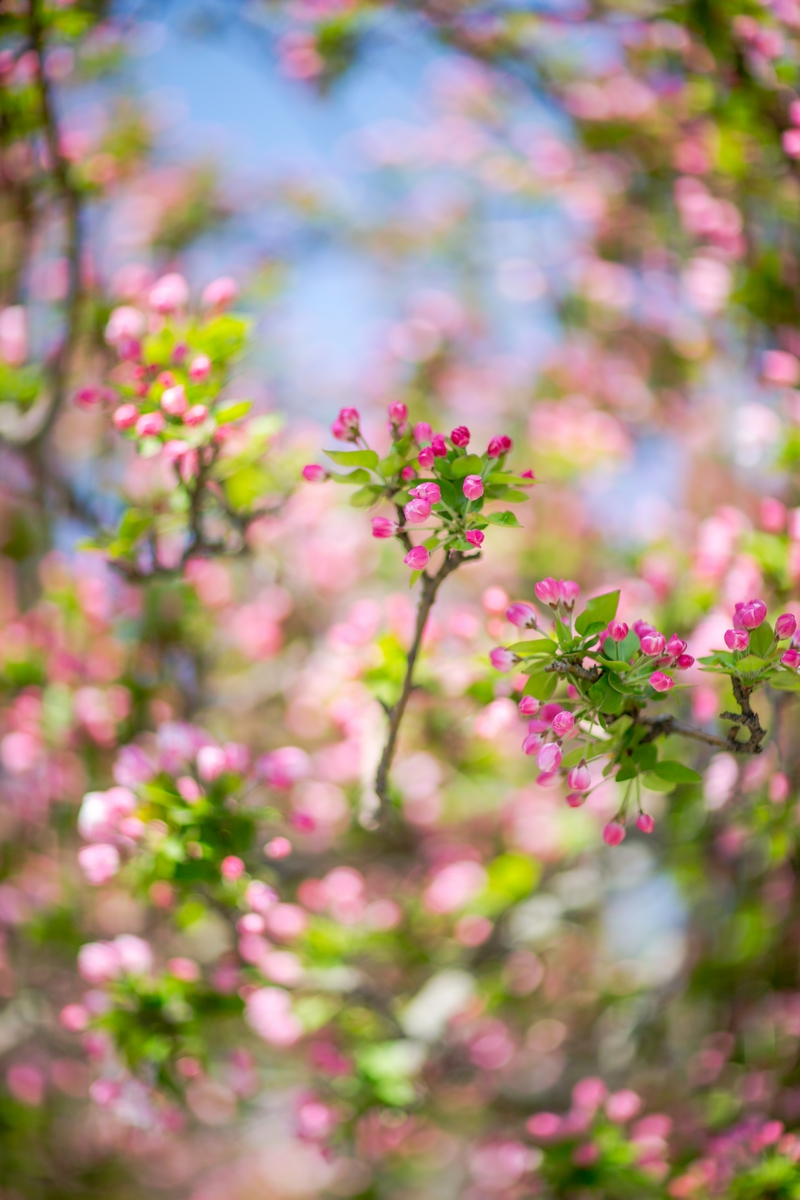 4118云顶集团·(中国)股份有限公司