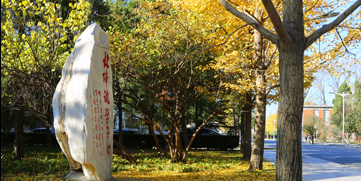 4118云顶集团·(中国)股份有限公司