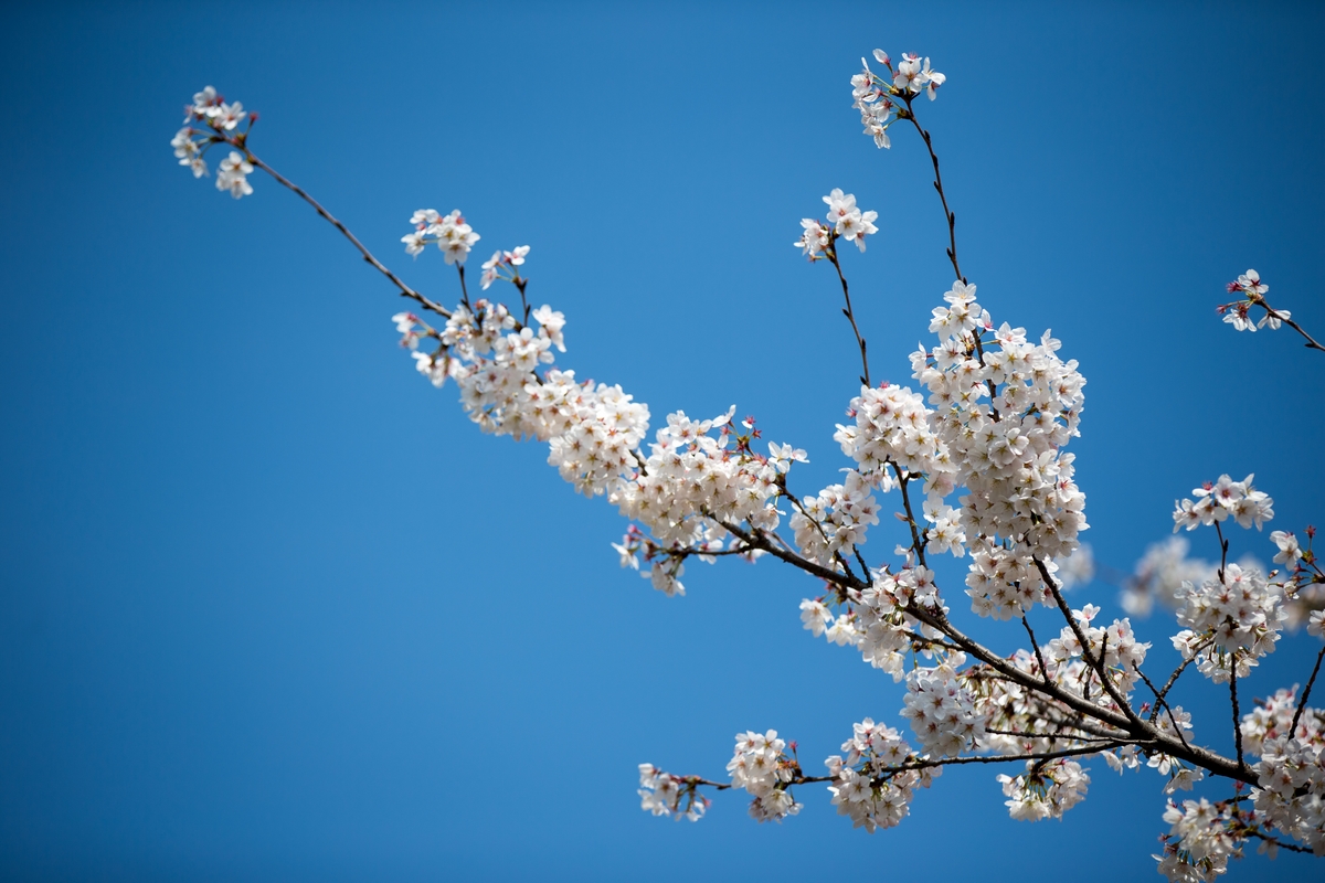 4118云顶集团·(中国)股份有限公司