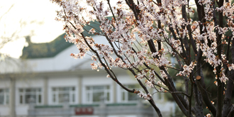 4118云顶集团·(中国)股份有限公司