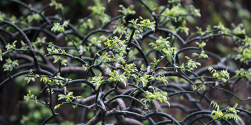 4118云顶集团·(中国)股份有限公司