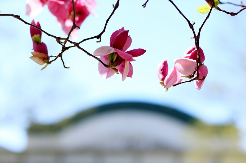 4118云顶集团·(中国)股份有限公司