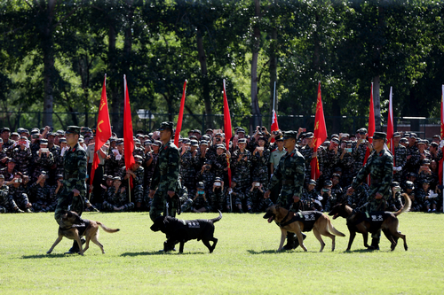 4118云顶集团·(中国)股份有限公司