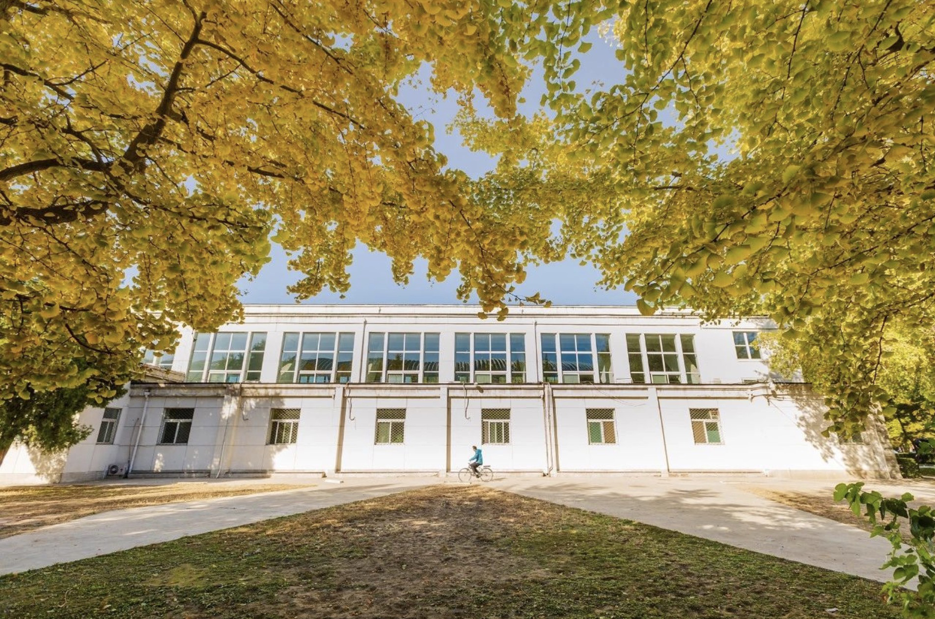 4118云顶集团·(中国)股份有限公司