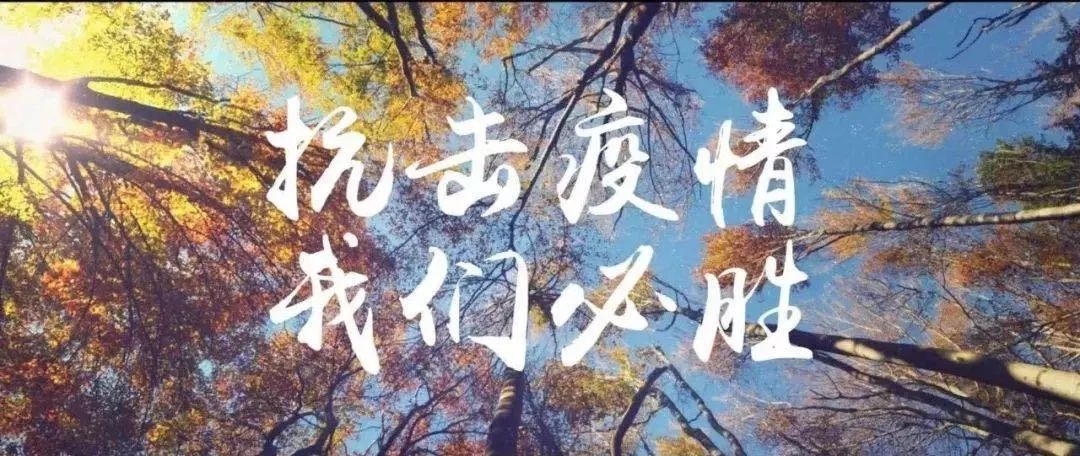 4118云顶集团·(中国)股份有限公司