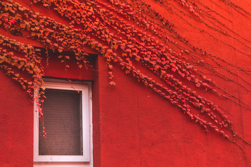 4118云顶集团·(中国)股份有限公司