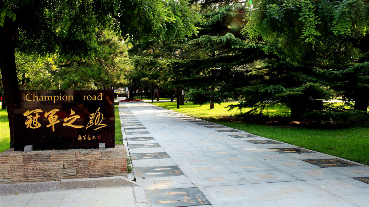 4118云顶集团·(中国)股份有限公司