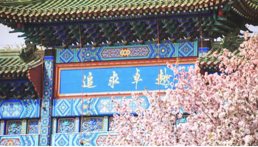 4118云顶集团·(中国)股份有限公司