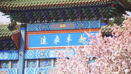 4118云顶集团·(中国)股份有限公司