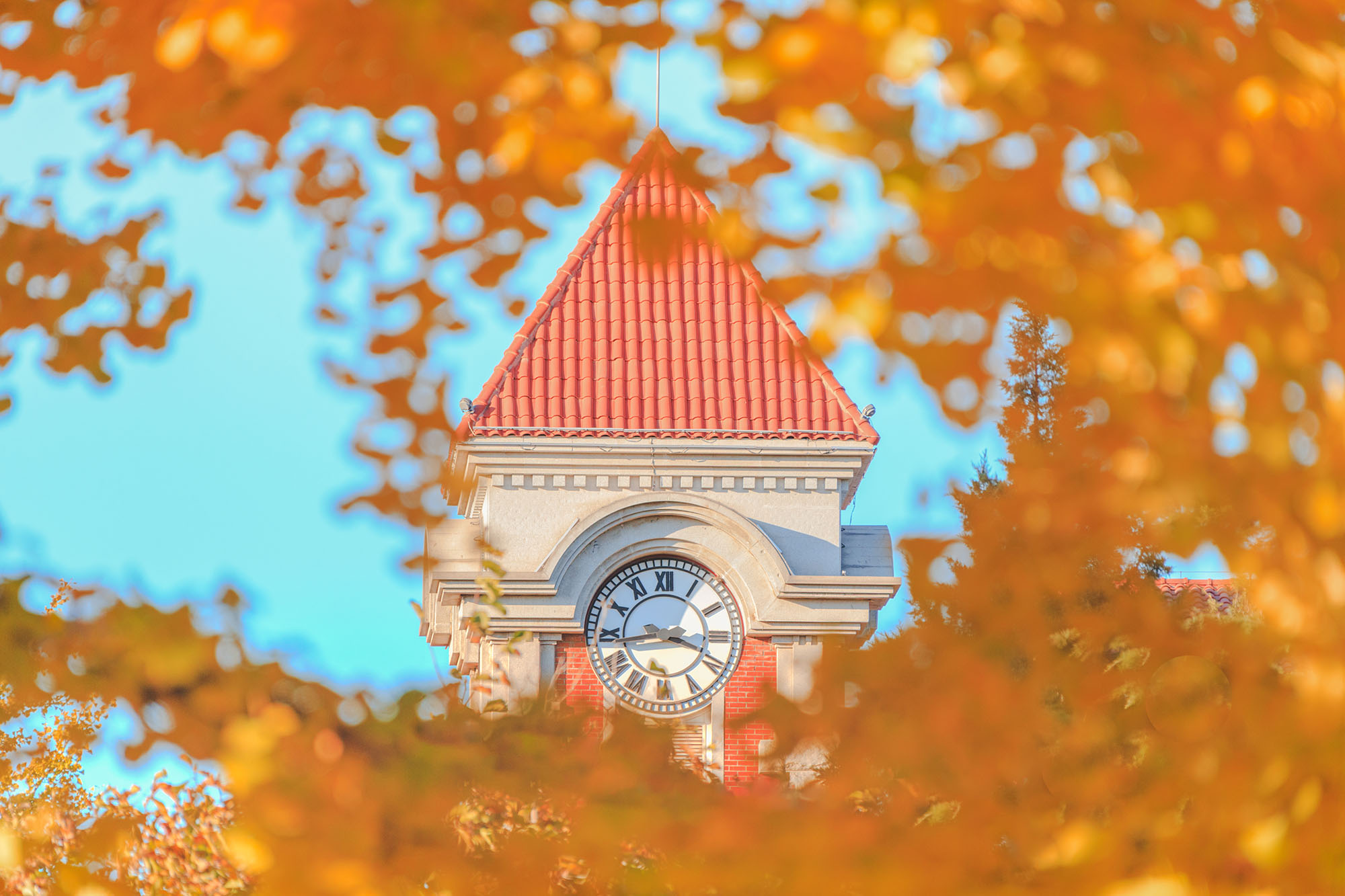 4118云顶集团·(中国)股份有限公司