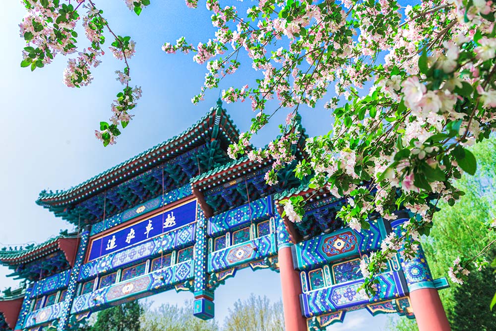 4118云顶集团·(中国)股份有限公司