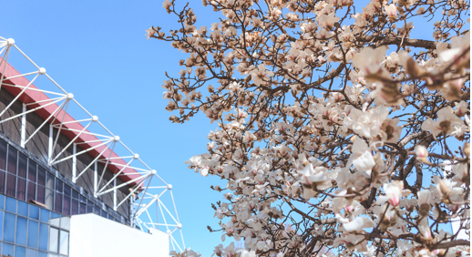 4118云顶集团·(中国)股份有限公司