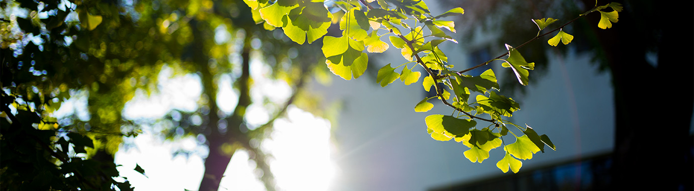 4118云顶集团·(中国)股份有限公司